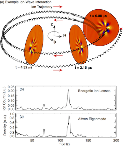 depiction of ion-wave resonance in a tokamak