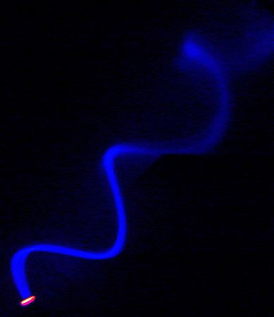 electron beam in a uniform magnetic field