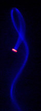 beam reflected by a negatively biased grid